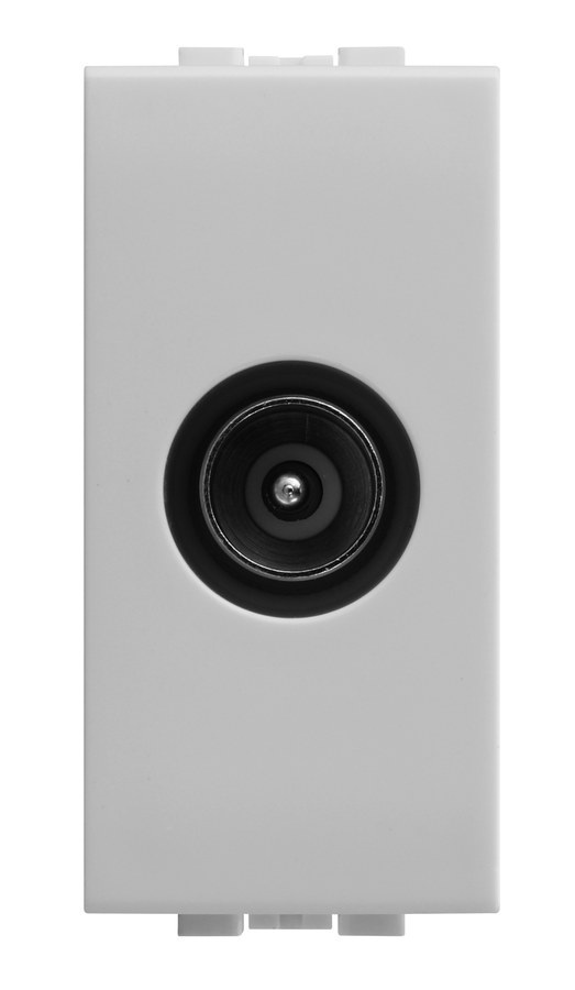Presa TV maschio, finitura bianco